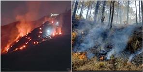 image: Forests on fire at 31 places in garhwal