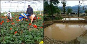 image: Dhaspad village of Almora set an example of reverse migration