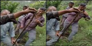 image: Dead snake came out of pipeline in Tholdhar