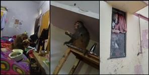 image: Bad condition of girls hostel in khirsu