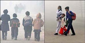image: 28 december holiday in Udham singh nagar schools