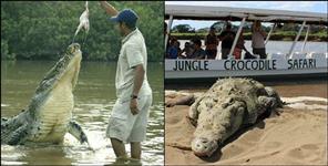 image: Uttarakhand first crocodile safari