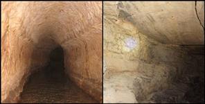 image: Surang found in almora
