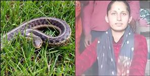 image: 17 year old girl dies due to snake bite