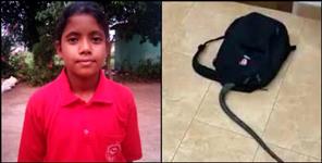image: uttarakhand snake found in school girl bag