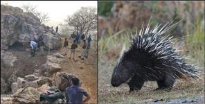 image: dead body found in porcupine cave in Bageshwar