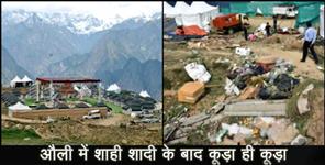image: auli royal wedding highcourt