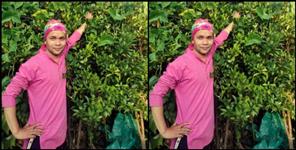 image: Almora farmer grows 9 feet tall capsicum plant