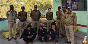 image: 560 box liquor caught in pauri garhwal