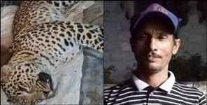 image: Youth killed Leopard in Nainisaini