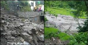 image: Crop wasted due to excessive rainfall in Rudraprayag district