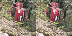 image: Tree saved 4 lives in Berinag Uttarakhand