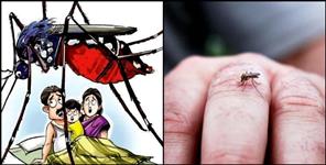 image: Four including child die from dengue in doon
