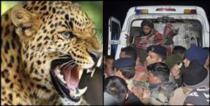image: Leopard attack 10 year old child in dehradun