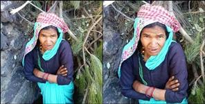 image: Champawat Jayanti is quarantined for one and a half years