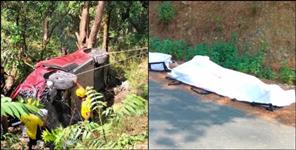 image: Tourist Car Falls Into Gorge in Nainital 5 Dead