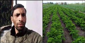 image: Shambhu Prasad of Pauri Garhwal is earning lakhs of rupees from farming