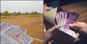 image: Gangster charges imposed on two fraudsters in Haldwani