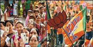 image: Pithoragarh up chunav result live update NEW