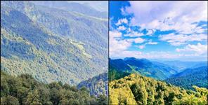 image: Forests Department to Receive 1000 Crore for Carbon Sequestration