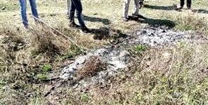 image: Skeleton found in the forest at almora