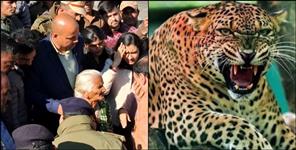 image: Leopard terrorizes in Pauri Garhwal