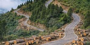 image: Champawat Bypass Construction 1882 Trees to Be Cut