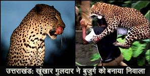image: Leopard killed old man in almora