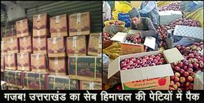 image: Farmers purchased 4.5 lakh cases of apples from himachal pradesh