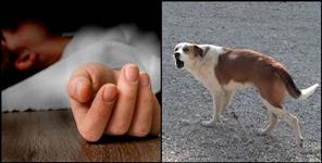 image: Haridwar girl dies of rabies infection