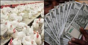 Uttarakhand Offers Up to 63 Lakh Subsidy for Poultry Farms