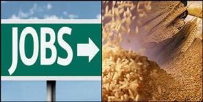 image: Bumper jobs vacancy and recruitments in food supply department