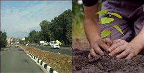 image: 75 thousands tree to be planted in Delhi dehradun highway