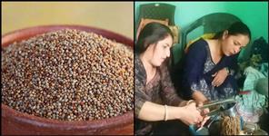 image: Women will get employment from Mandwa in rural areas govt providing training