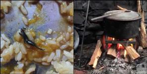 Students Allege Poor Food at Uttarkashi Hostel