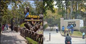 image: All you should know about dehradun zoo