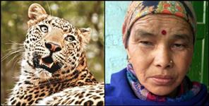 image: Dwarahaat kaushalya devi fought with leopard