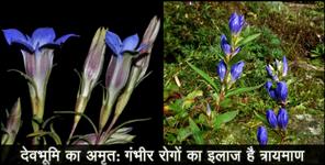 image: Benefits of trayman uttarakhand