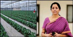 image: Uttarakhand will become herbal state