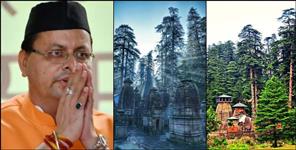image: 1000 cedar trees will not be cut in Jageshwar