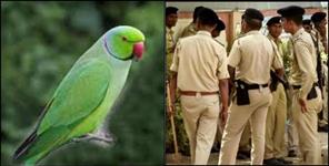 image: Fight between two women for a parrot in Roorkee