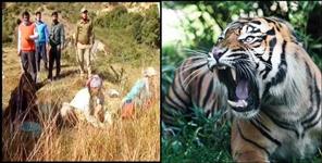 image: Tiger attack on woman and bike rider in Ramnagar