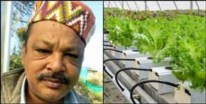 image: Ranikhet Digvijay Singh Bora grew vegetables with hydroponic technology