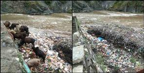 image: Garbage is being dumped in Nayar river in Satpuli