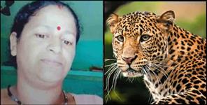 image: Leopard killed woman in Bhimtal