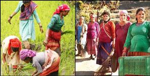 image: There has been no migration from Diadi village of Uttarkashi till today