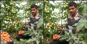 image: Khushiram made agriculture the basis of progress at tehri
