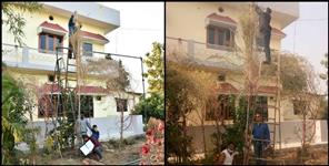 image: Farmer Liladhar Joshi grows Bathua 18 feet high