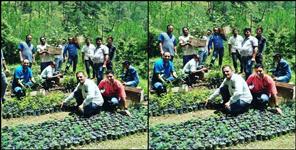 image: Youth adopted forest in Almora