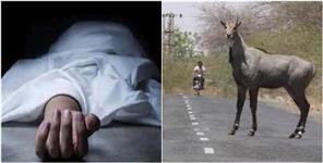 image: Teacher Dies in Road Accident in Udham Singh Nagar